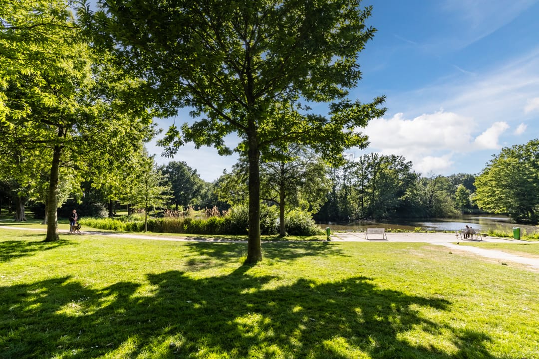 Foto 52 van Poldermolen 39