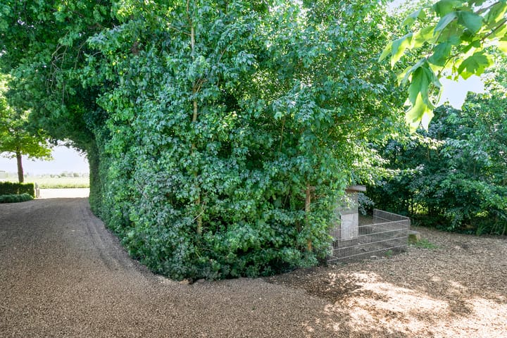 Foto 46 van Mijdrechtse dwarsweg 12