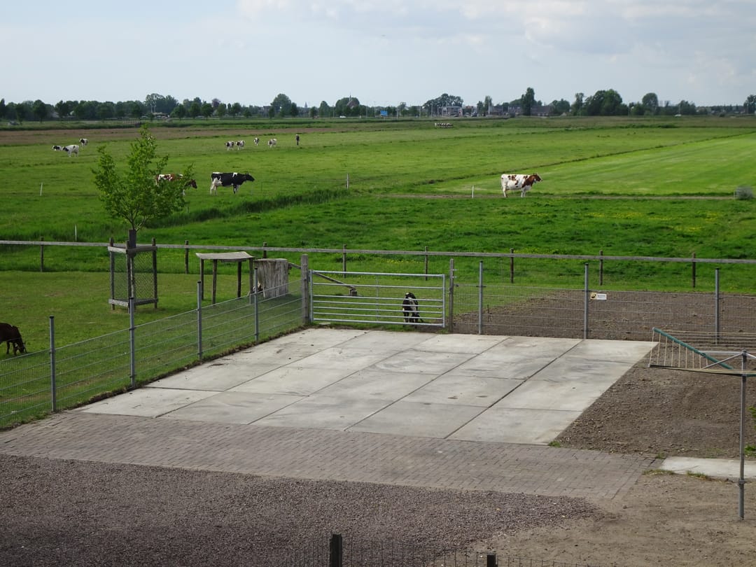 Foto 47 van Mijdrechtse dwarsweg 12