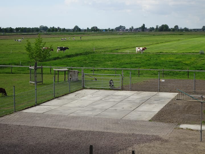 Foto 47 van Mijdrechtse dwarsweg 12