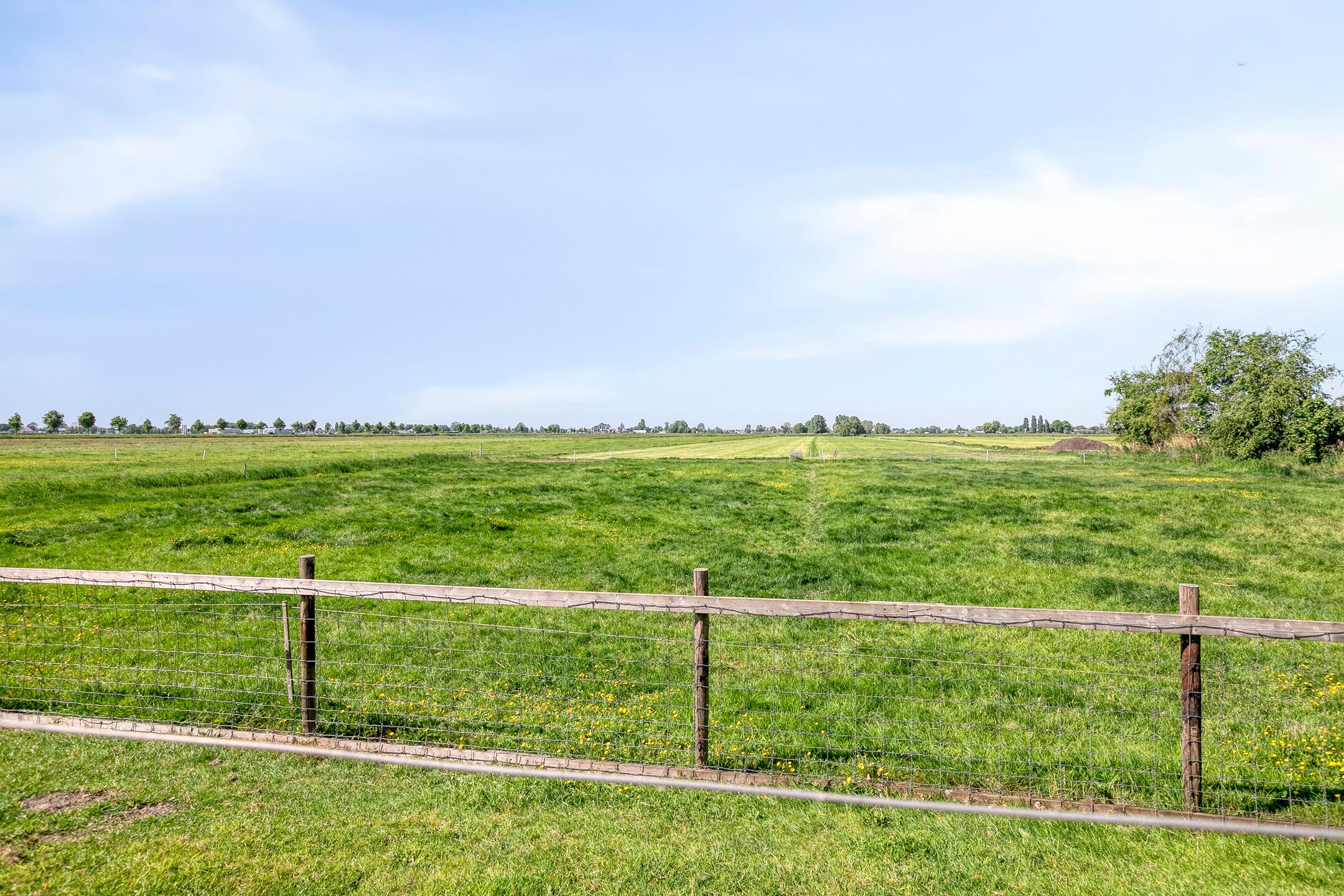 Foto 48 van Mijdrechtse dwarsweg 12