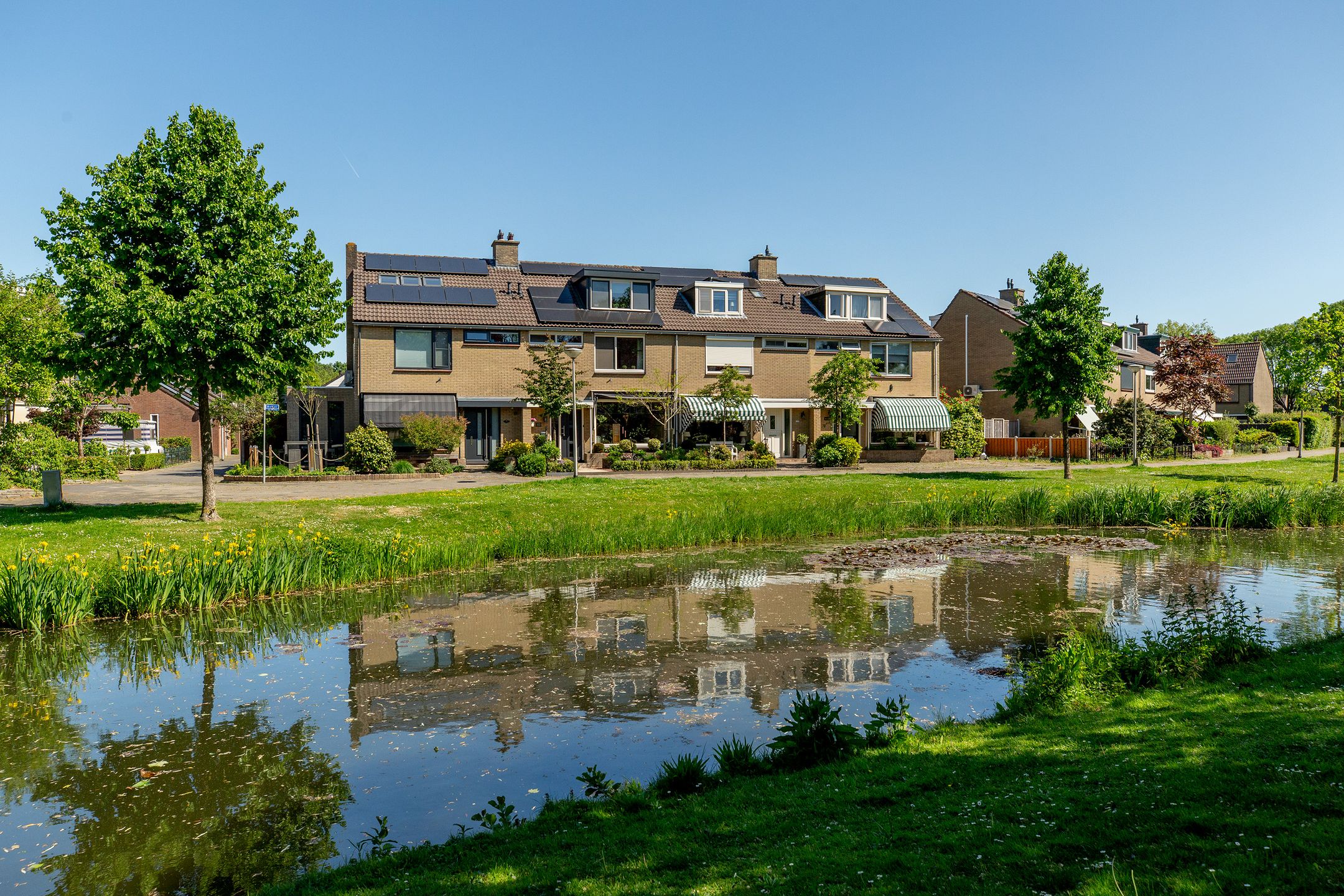 Foto 6 van Botter 43