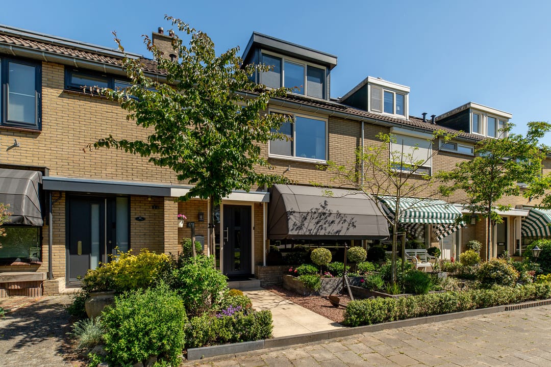 Foto 8 van Botter 43