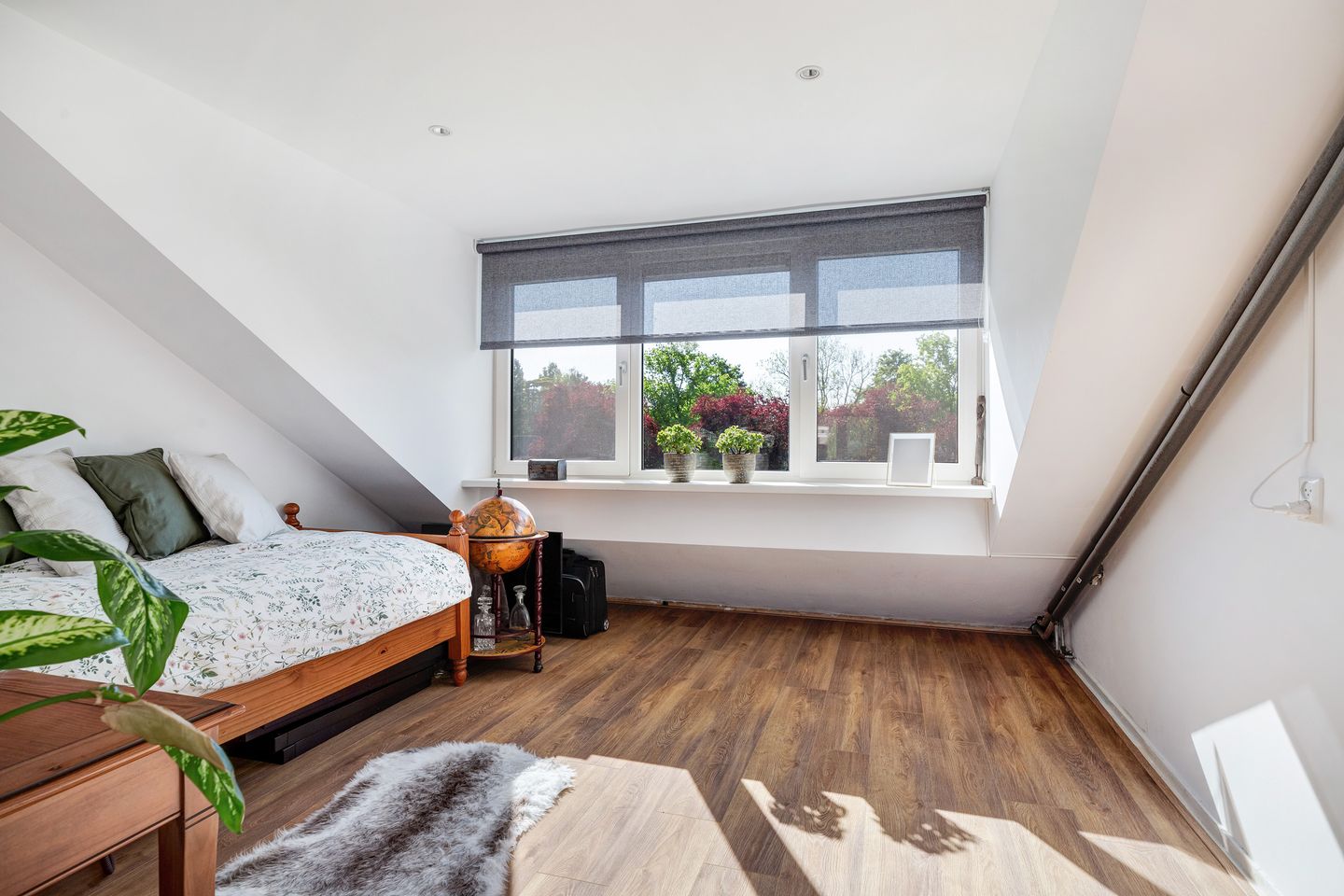 Foto 35 van Botter 43