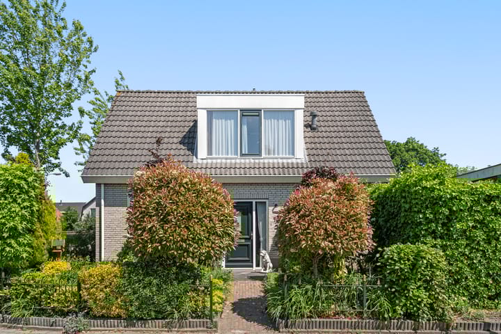 Foto 4 van Schaepmanstraat 14