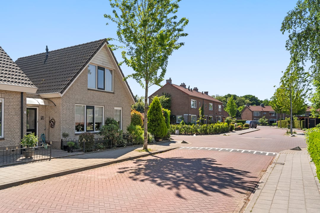 Foto 38 van Schaepmanstraat 14