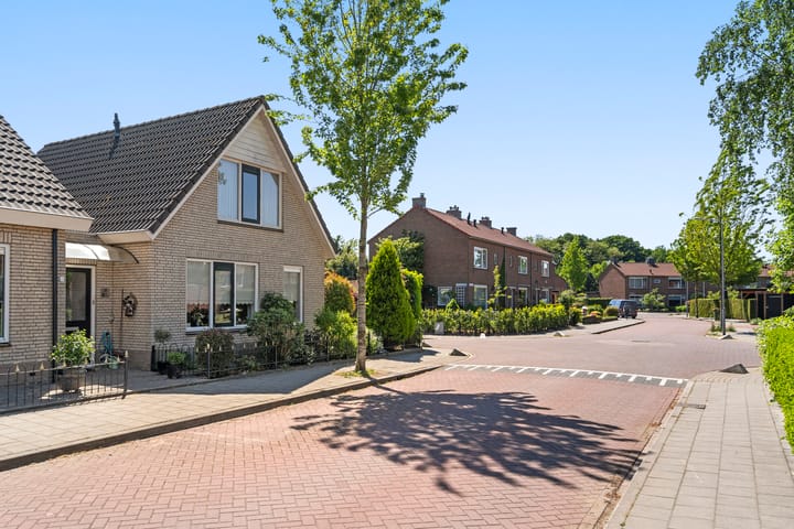 Foto 38 van Schaepmanstraat 14