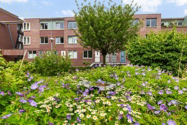 Foto 42 van Adikade 10