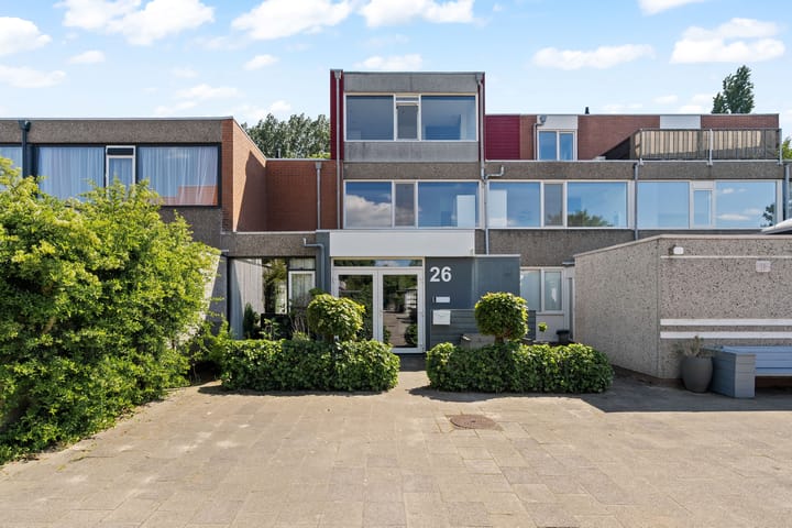 Foto 1 van Zeedistel 26