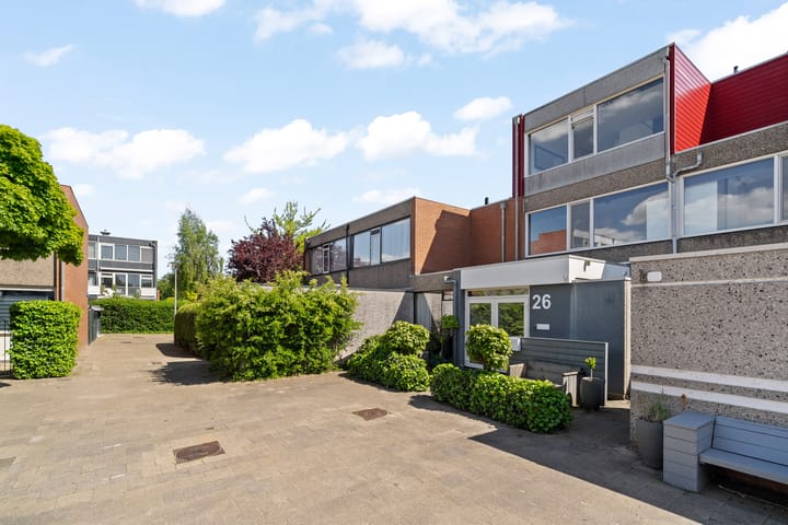 Foto 5 van Zeedistel 26