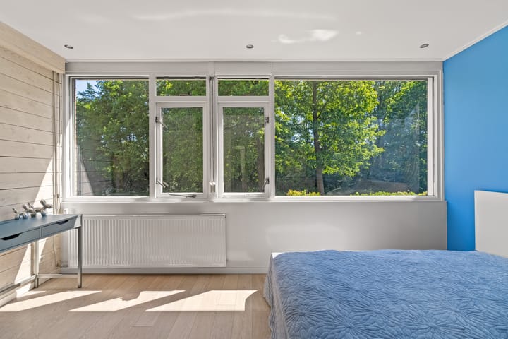 Foto 17 van Zeedistel 26