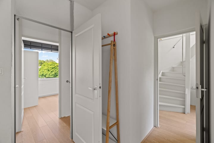 Foto 24 van Zeedistel 26