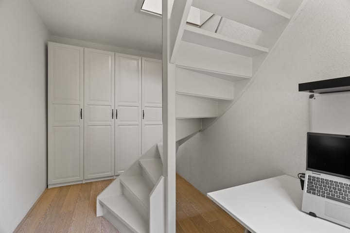 Foto 26 van Zeedistel 26