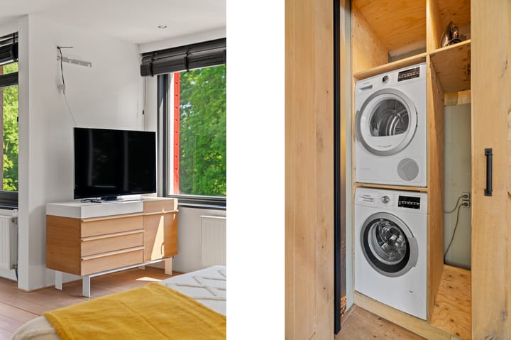 Foto 29 van Zeedistel 26