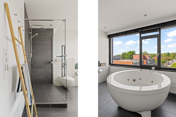 Foto 31 van Zeedistel 26