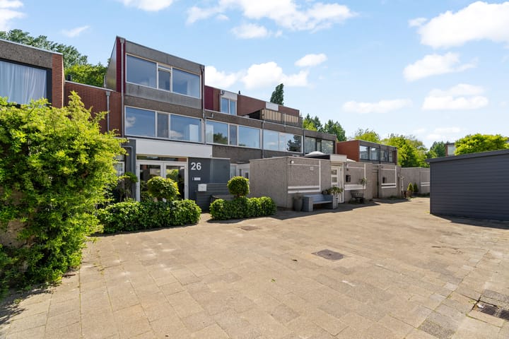 Foto 39 van Zeedistel 26