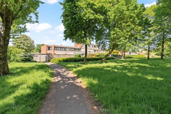 Foto 40 van Zeedistel 26