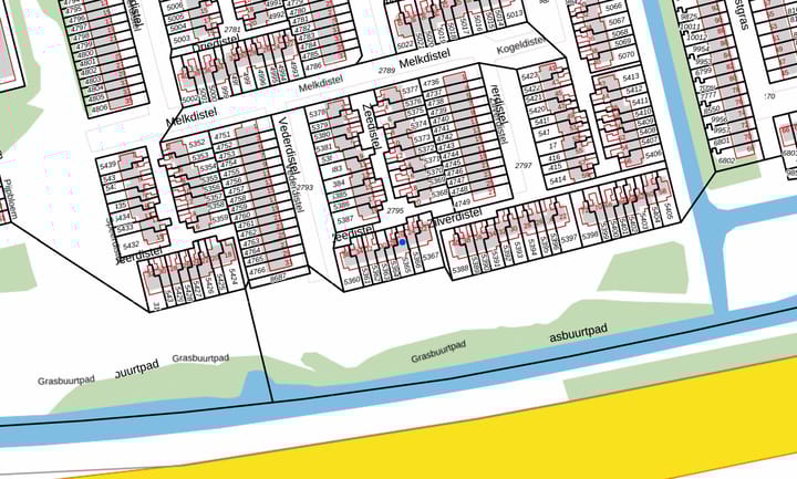 Foto 45 van Zeedistel 26