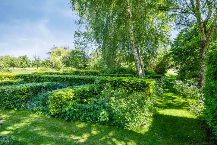 Foto 78 van IJsseldijk 85