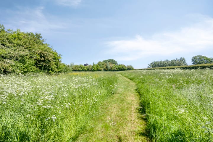 Foto 79 van IJsseldijk 85