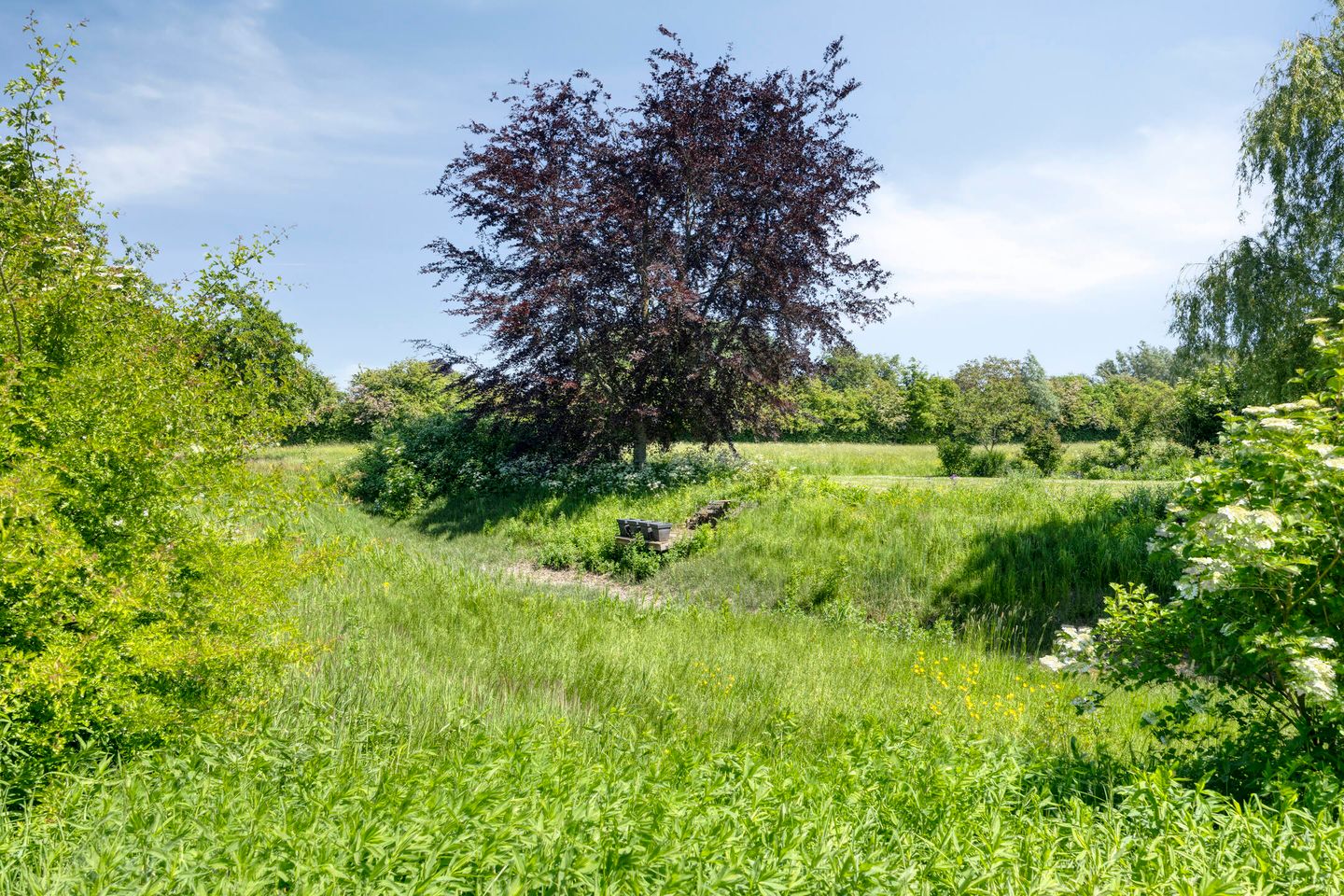 Foto 89 van IJsseldijk 85