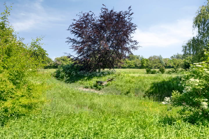 Foto 89 van IJsseldijk 85