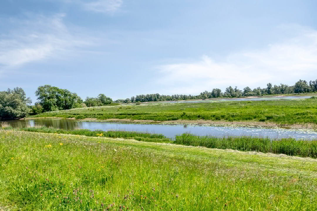 Foto 112 van IJsseldijk 85