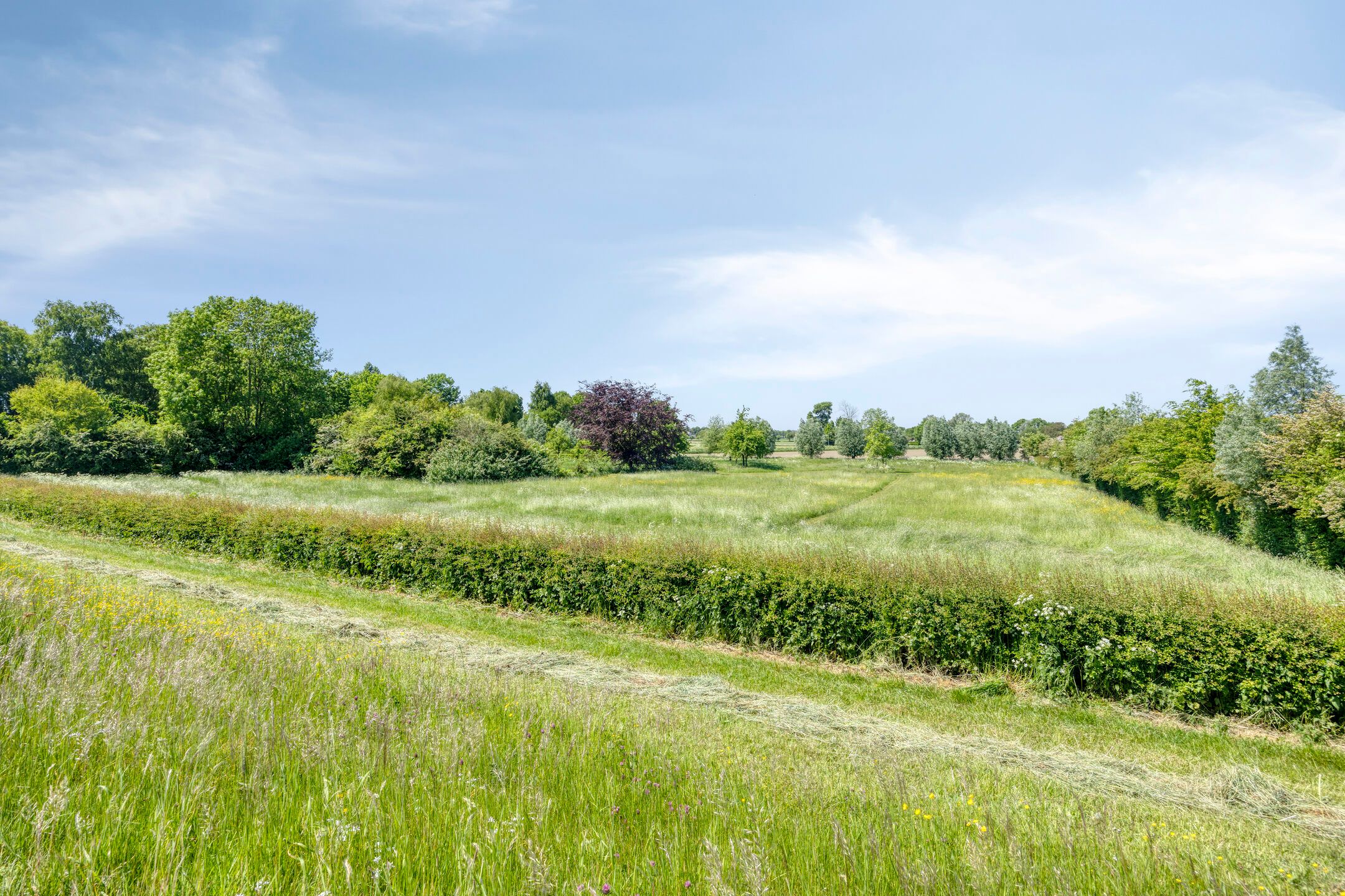 Foto 114 van IJsseldijk 85