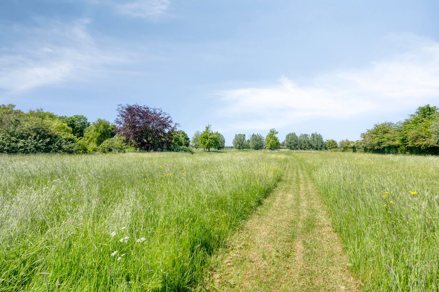 Foto 109 van IJsseldijk 85