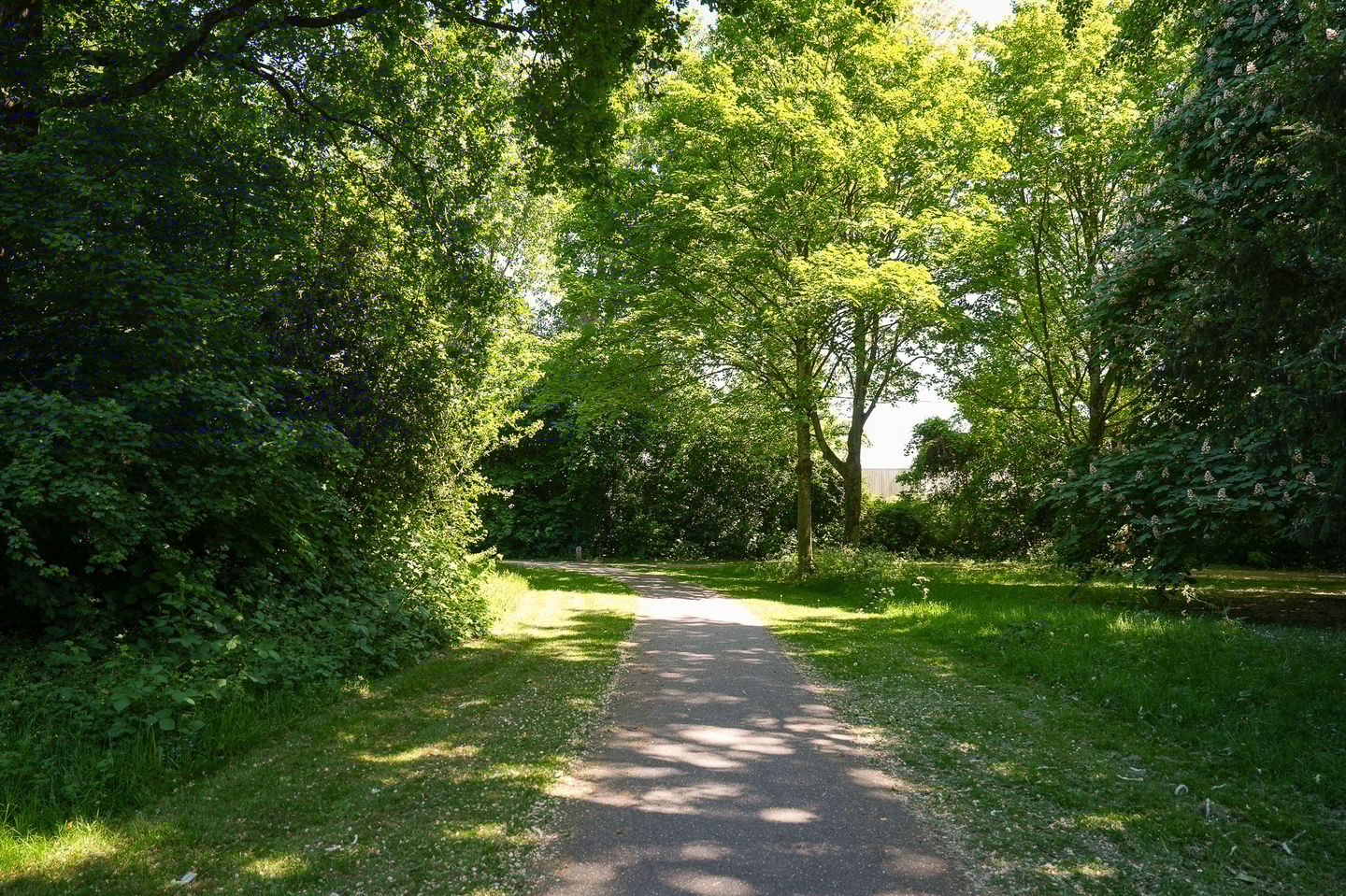 Foto 35 van Nijverheidstraat 22