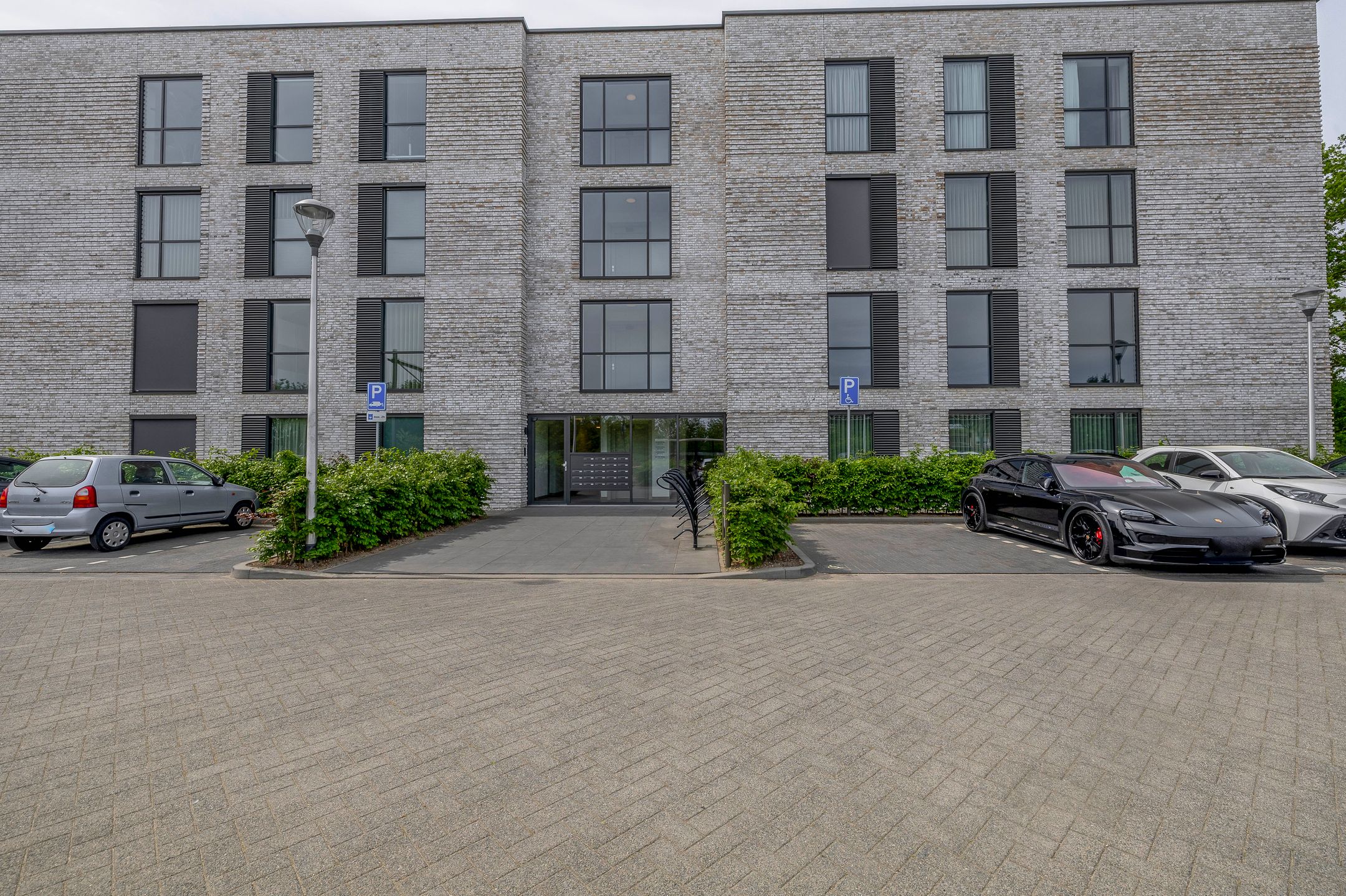 Photo 6 of Jonkheer 47