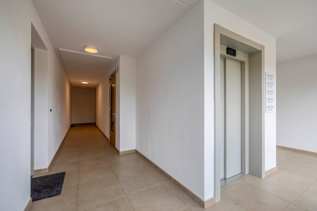 Photo 8 of Jonkheer 47