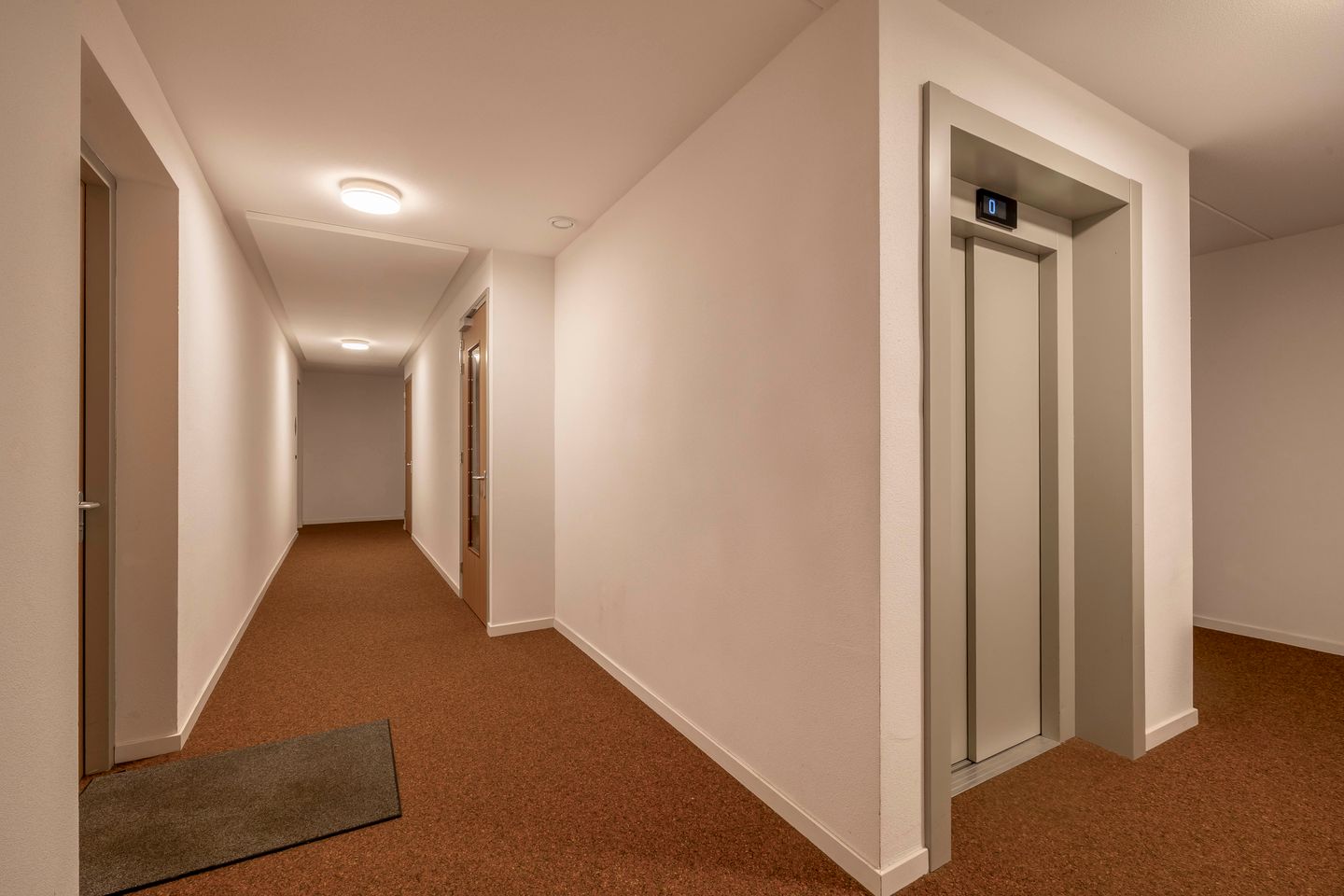 Photo 10 of Jonkheer 47