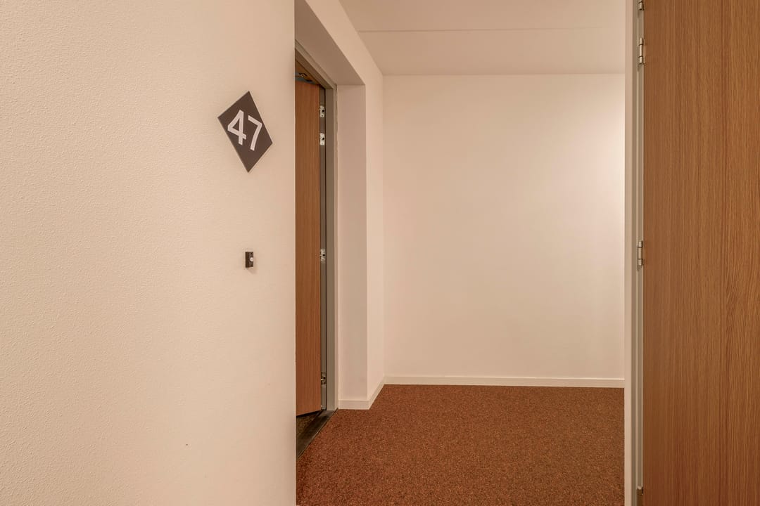 Photo 11 of Jonkheer 47