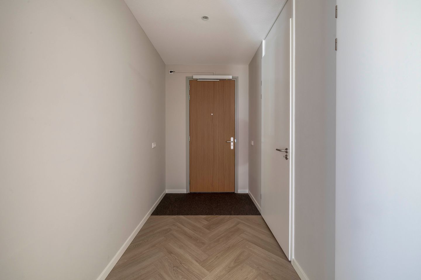 Photo 14 of Jonkheer 47