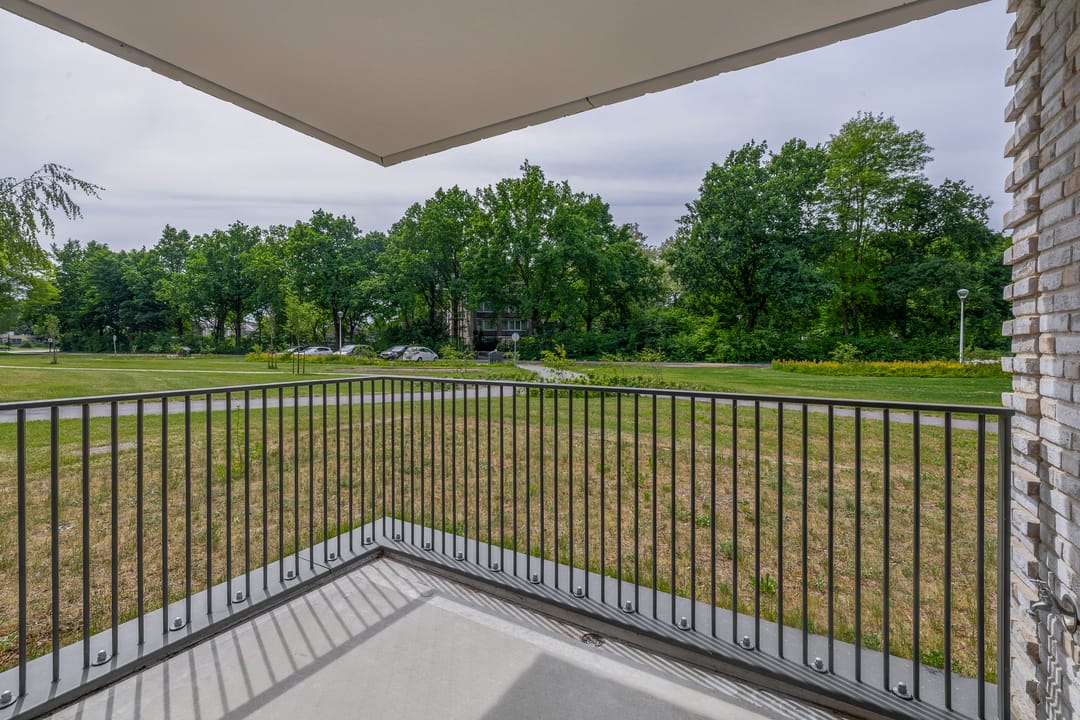 Photo 26 of Jonkheer 47