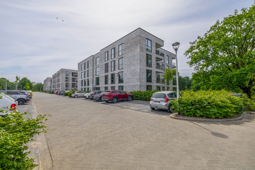 Photo 41 of Jonkheer 47