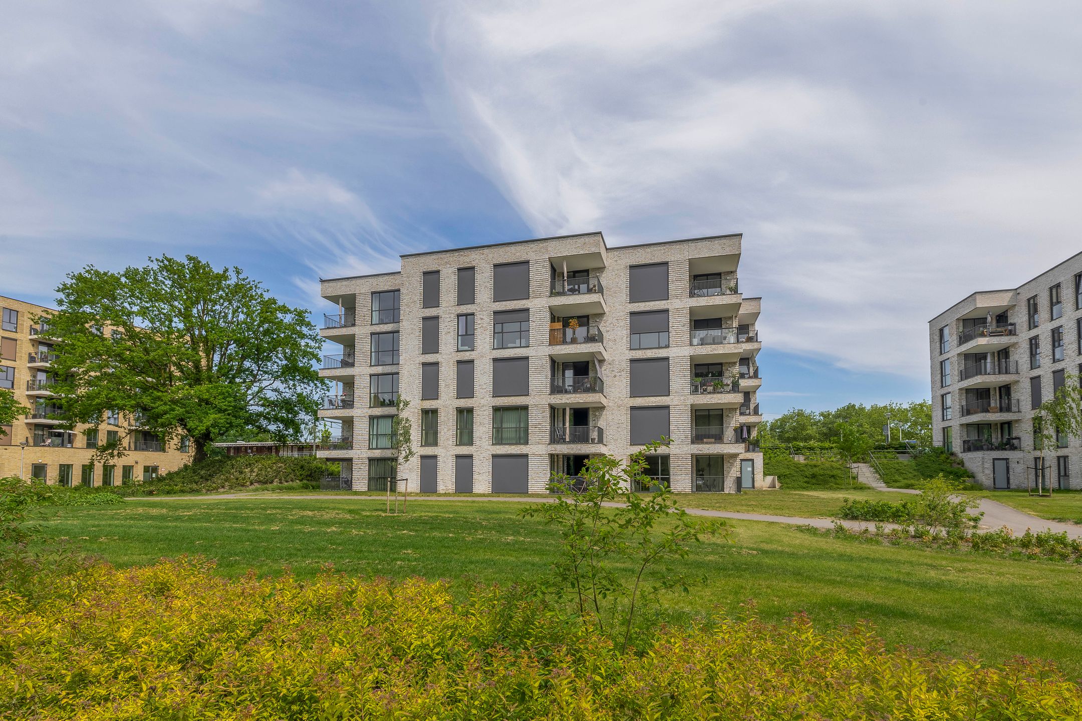 Photo 42 of Jonkheer 47