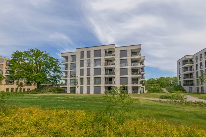 Foto 42 van Jonkheer 47