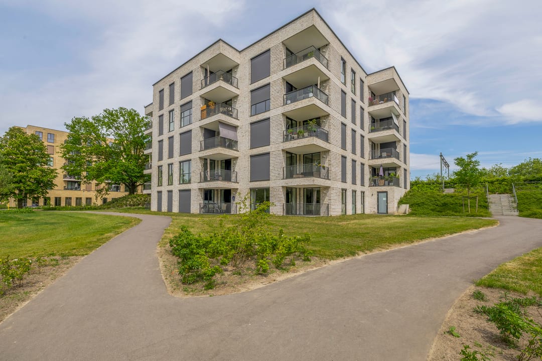 Photo 43 of Jonkheer 47