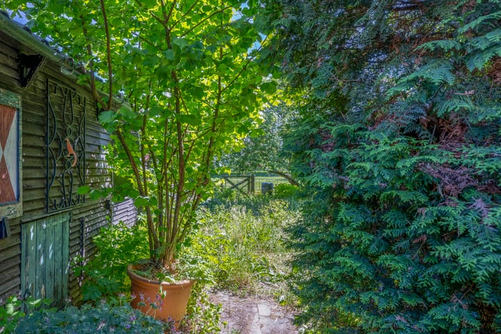 Foto 50 van Heeswijk 34