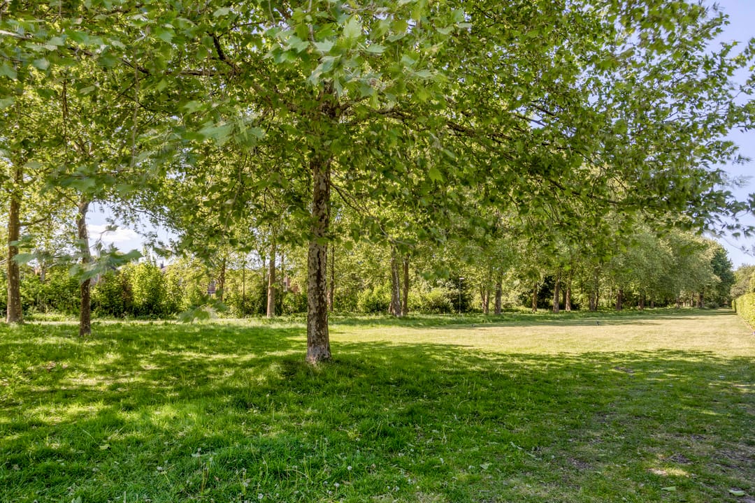 Foto 23 van Landmetersveld 718