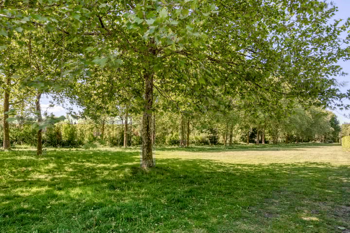 Foto 23 van Landmetersveld 718