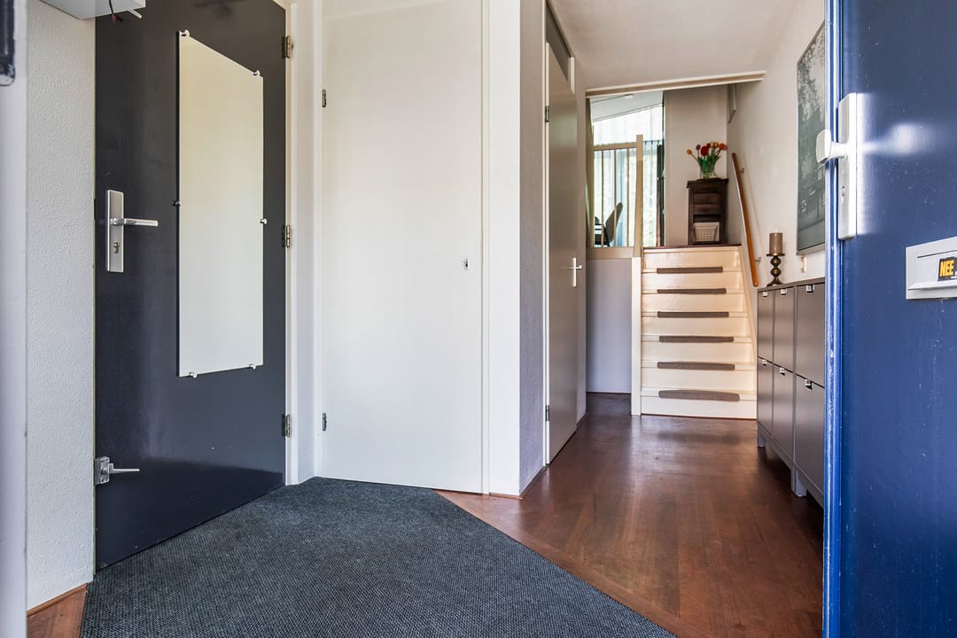 Photo 8 of Zomerpark 28