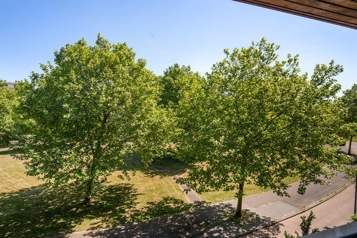 Foto 31 van Zomerpark 28