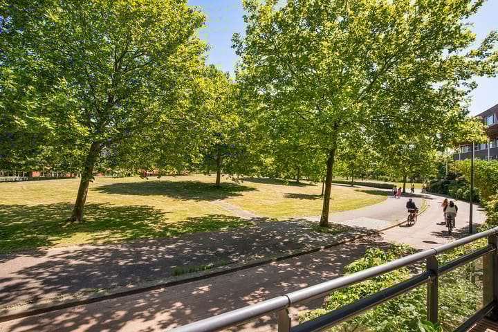 Foto 46 van Zomerpark 28