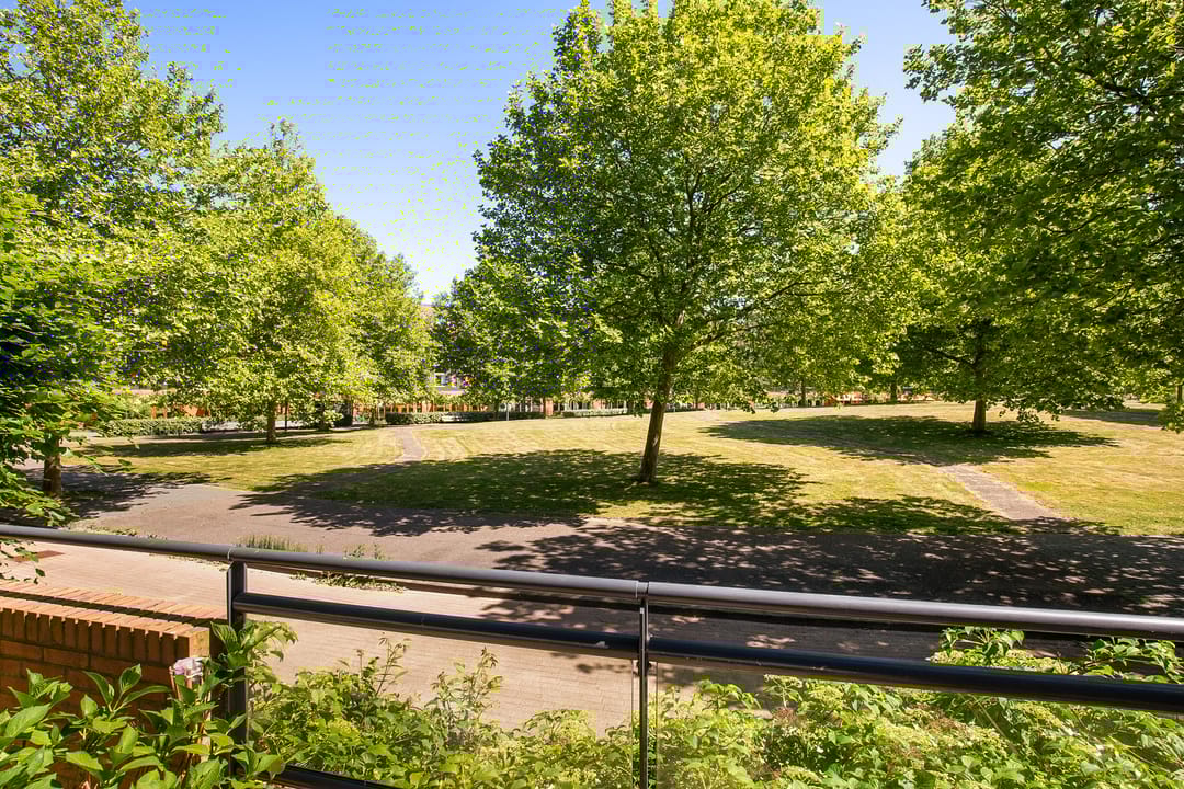 Photo 47 of Zomerpark 28