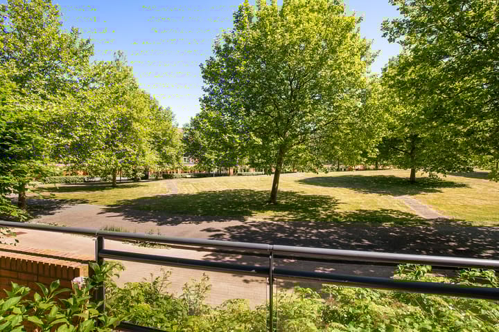 Foto 47 van Zomerpark 28