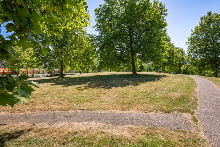 Foto 49 van Zomerpark 28