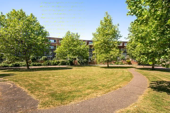 Foto 50 van Zomerpark 28